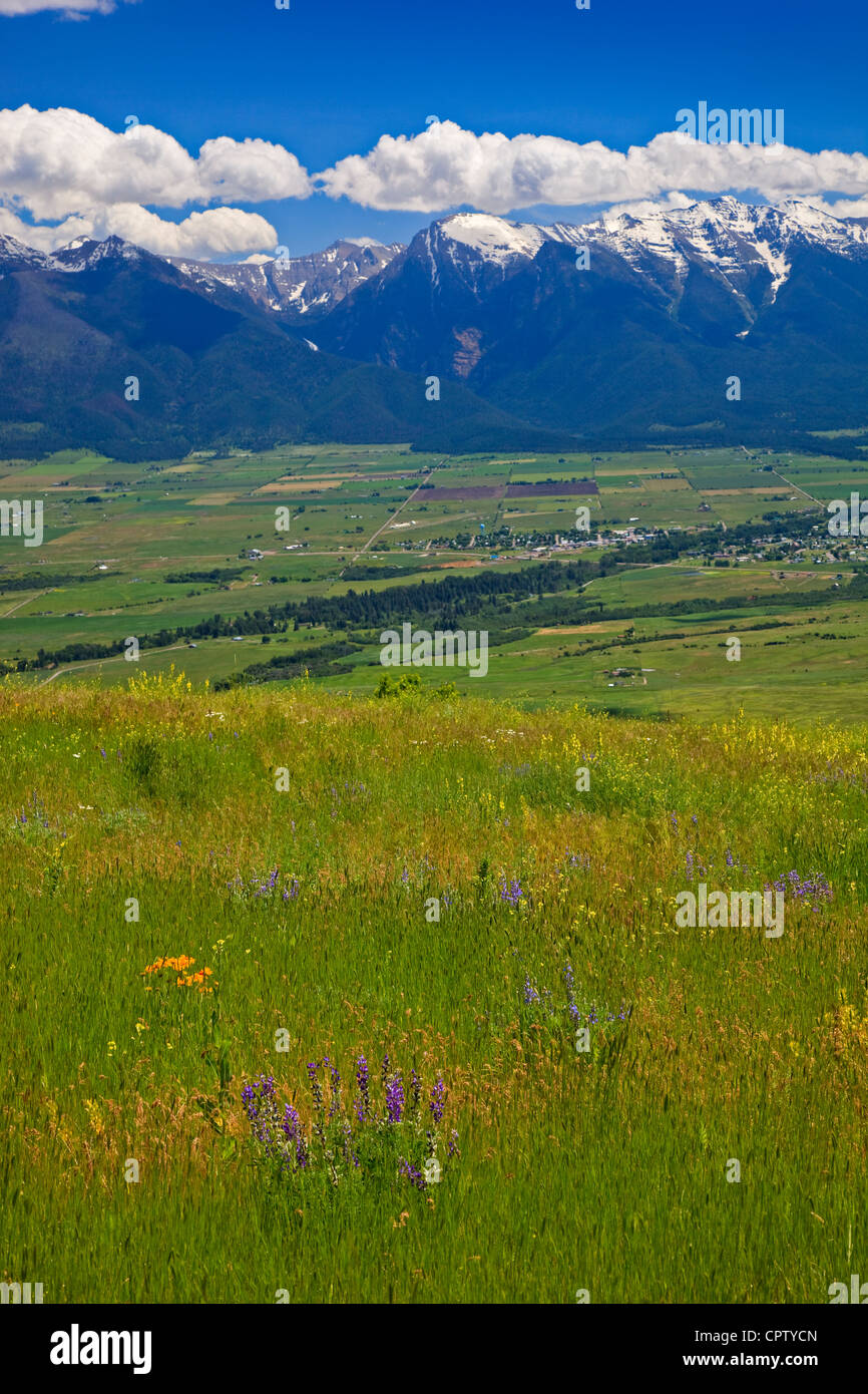 National Bison Range Wildlife Refuge des collines des prairies avec fleurs d'été sous les cumulus Banque D'Images