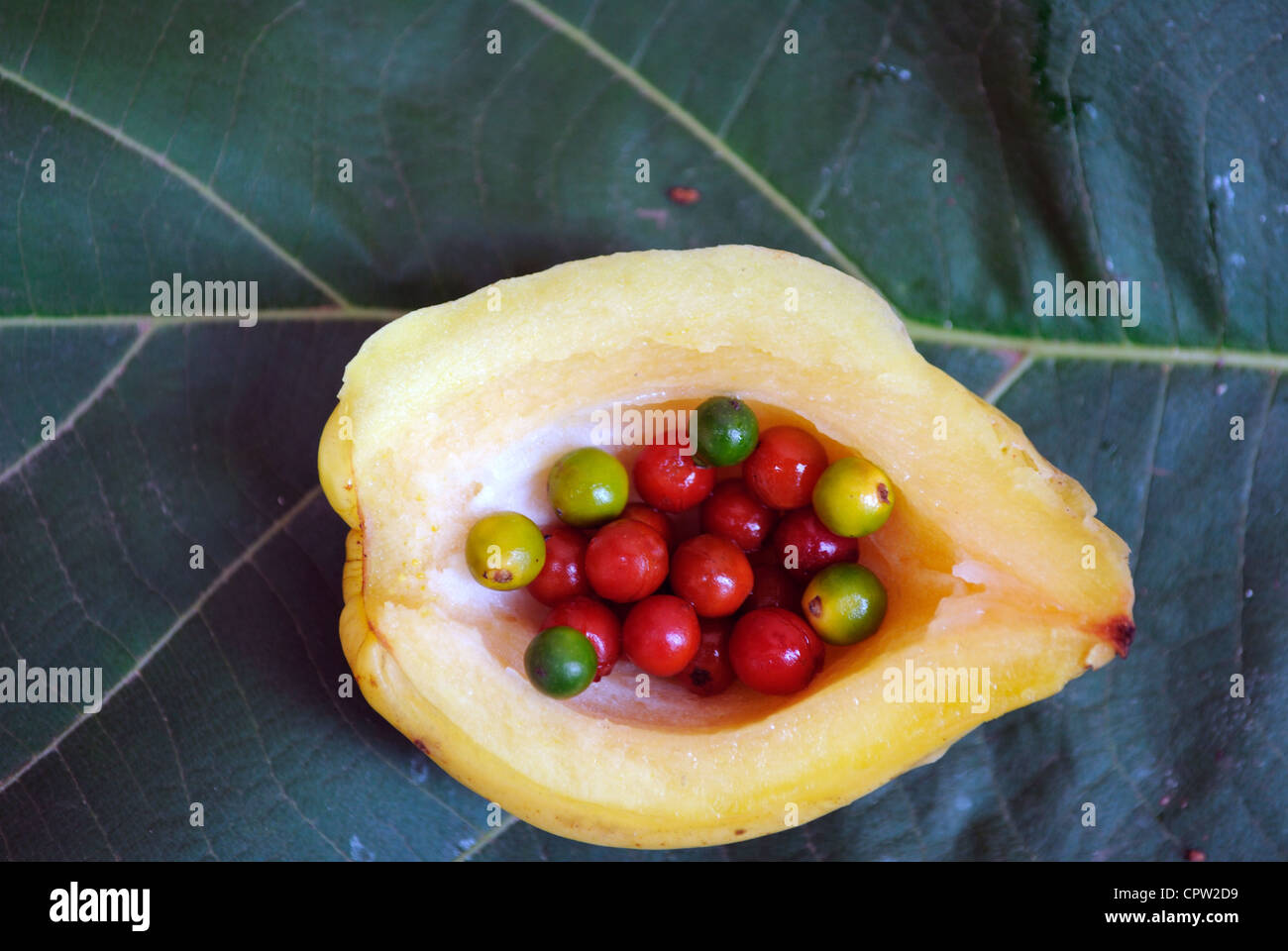 Poivron vert et rouge à l'intérieur d'un tamarin, placé dans une feuille de teck Banque D'Images