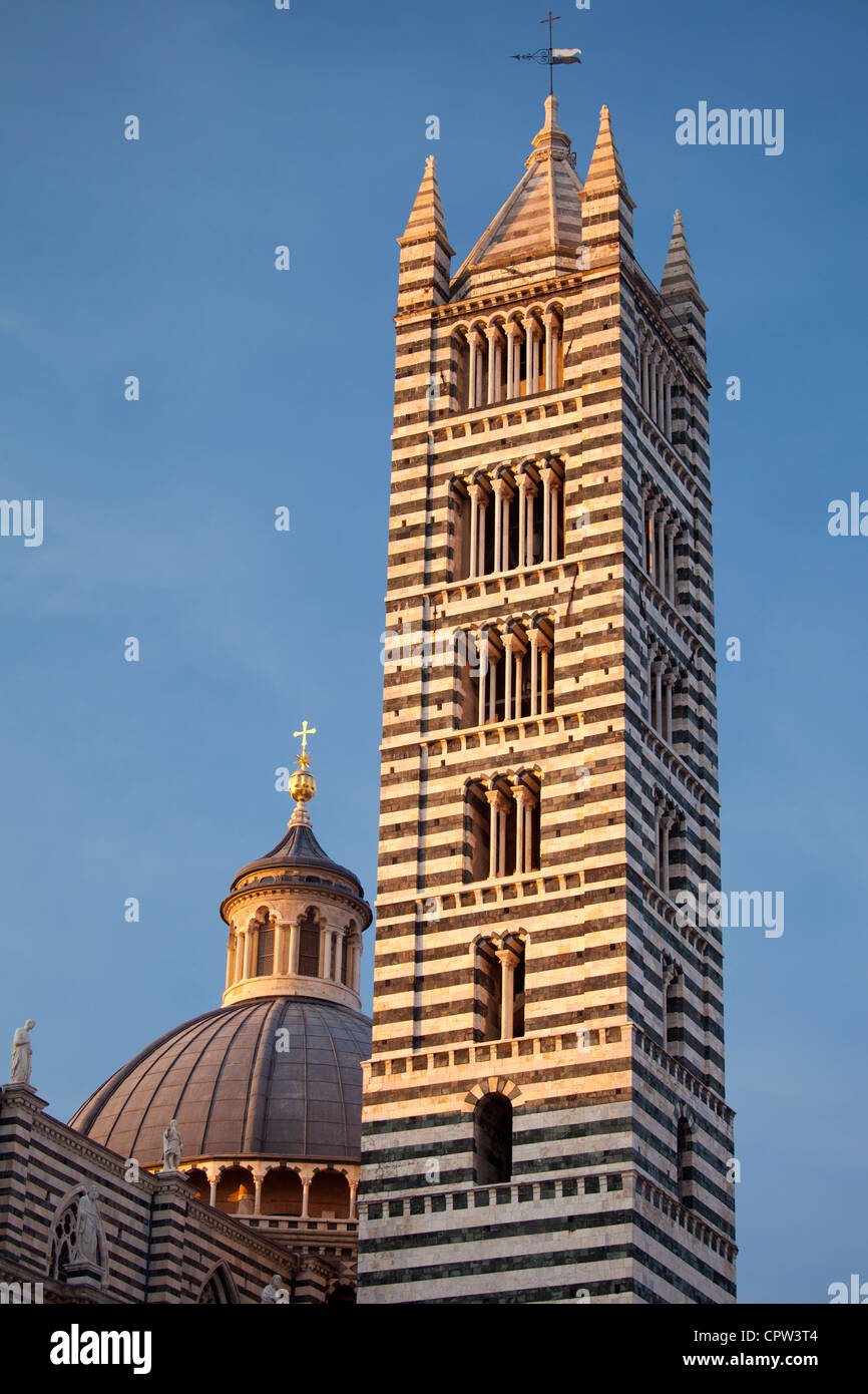 Il Duomo di Siena, la Cathédrale de Sienne, dôme et le campanile du clocher, Italie Banque D'Images