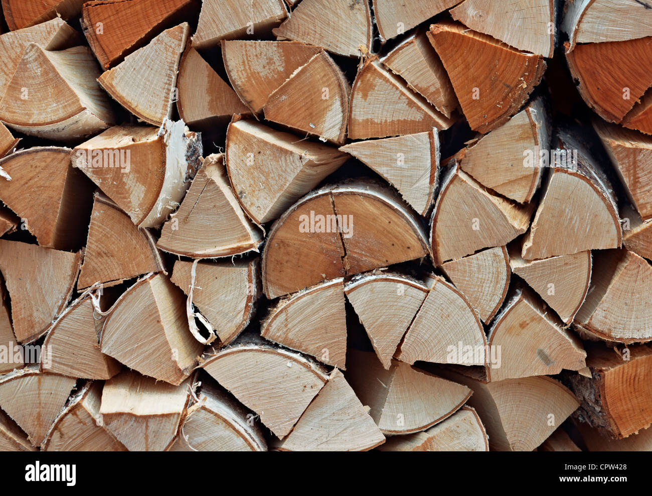 Pile de bois de chauffage de bouleau Banque D'Images