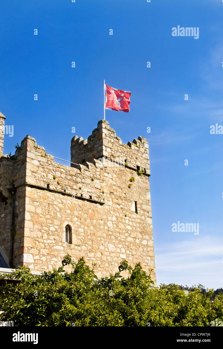 Watch Tower at château médiéval à l'Irlande. Banque D'Images
