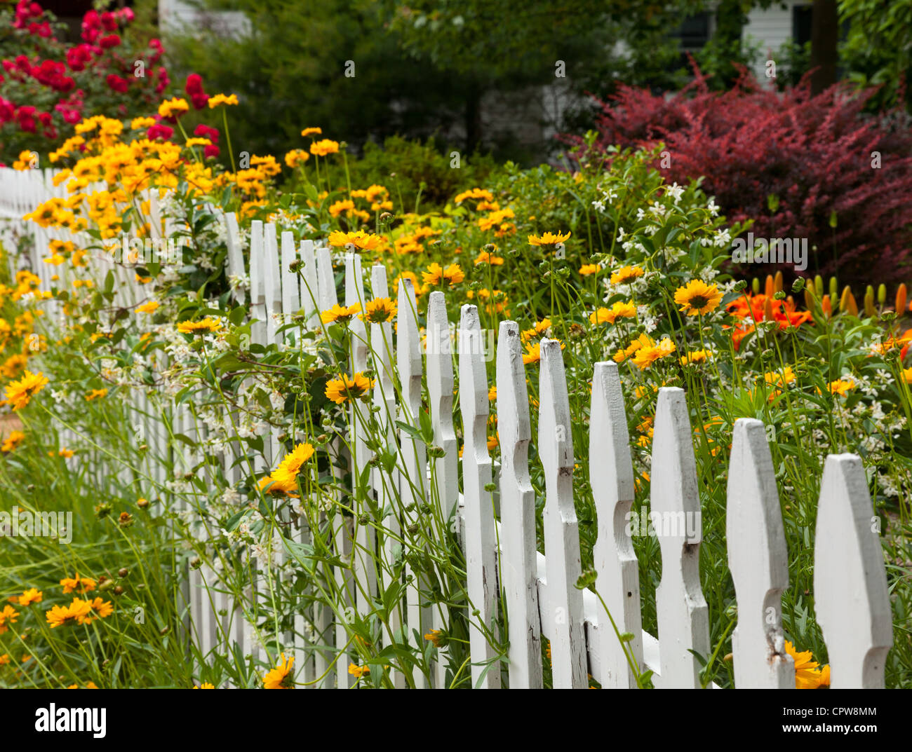 Clôture blanche autour d'un jardin avec fleurs d'été, USA Banque D'Images