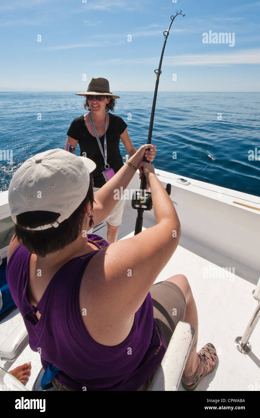 Le Mexique, Puerto Vallarta. La pêche sportive en haute mer le voilier Puerto Vallarta, Mexique. (MR) Banque D'Images