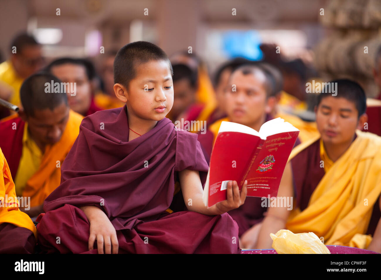 Jeune moine tibétain la lecture des Écritures, Temple de la Mahabodhi, Bodh Gaya, Bihar, Inde Banque D'Images