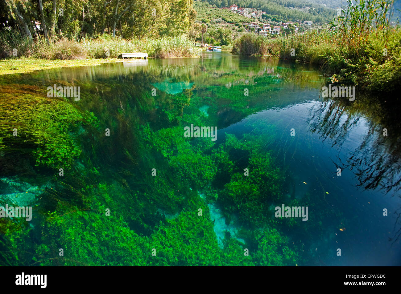De l'eau claire comme du cristal et macroalgues dans Kadınazmağı Creek Akyaka Turquie Muğla Banque D'Images