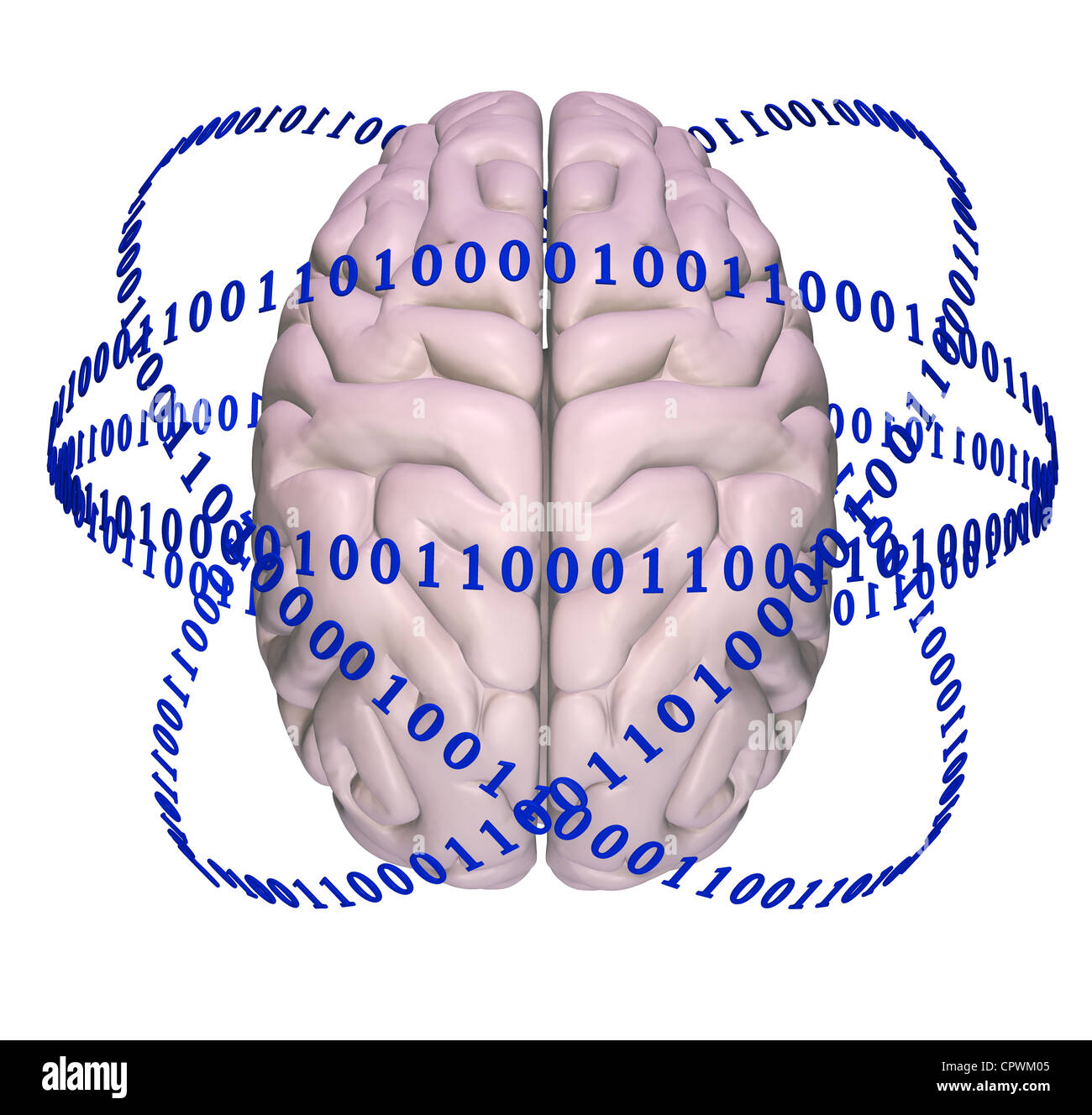 Illustration d'un cerveau humain entouré de code binaire Banque D'Images