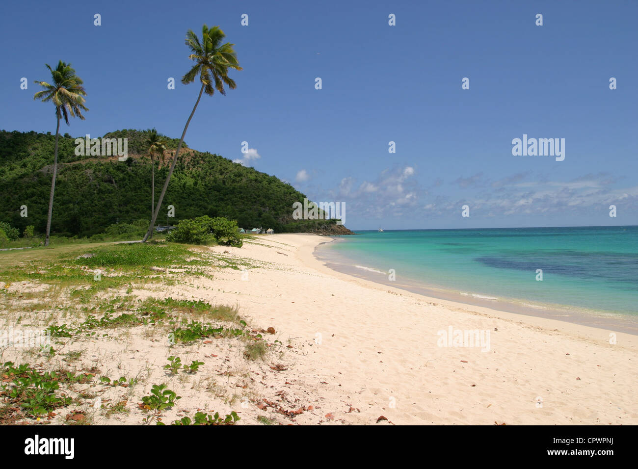 La baie de Darkwood, Antigua, l'une des plages d'Antigua 365 Banque D'Images