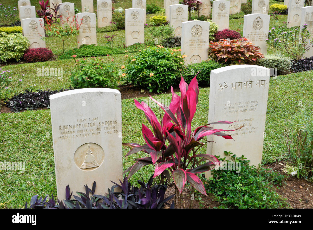 Les pierres tombales au cimetière de guerre de Kandy, Kandy, Sri Lanka Banque D'Images