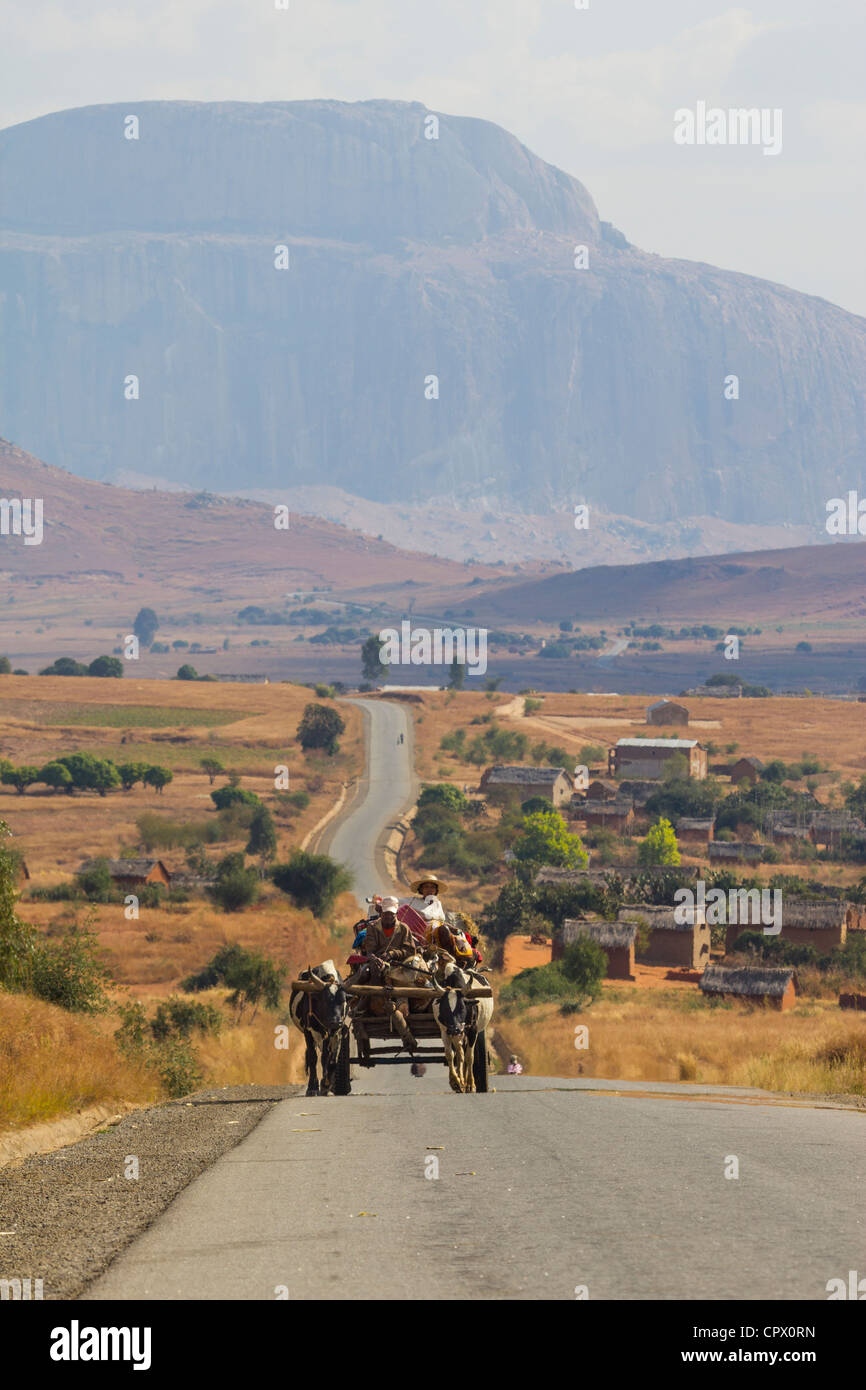 En chariot à bœufs sur la RN7, la route entre Ihosy et Amblavao, épines centrales de Madagascar Banque D'Images