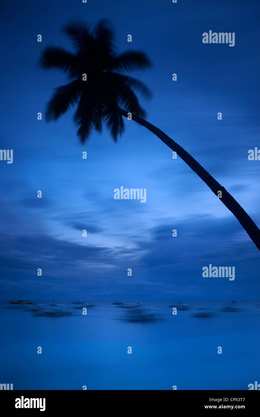 Crépuscule sur Alona Beach, l'île de Panglao, Bohol, Philippines, les Visayas Banque D'Images