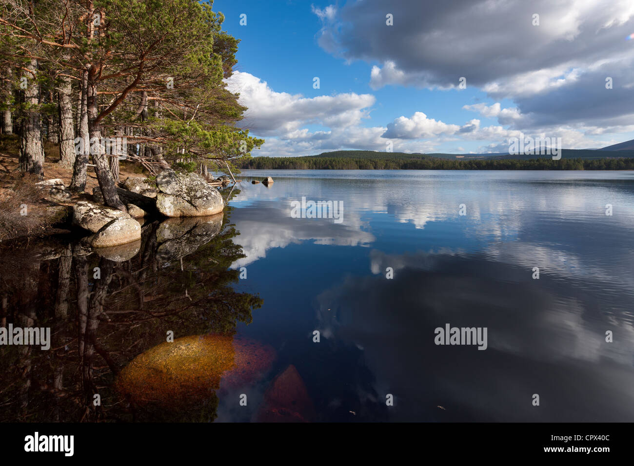 Loch Garten, Strathspey, Parc National de Cairngorms, en Écosse Banque D'Images