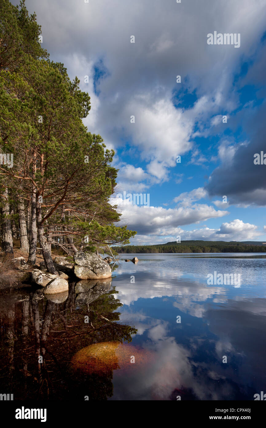 Loch Garten, Strathspey, Parc National de Cairngorms, en Écosse Banque D'Images