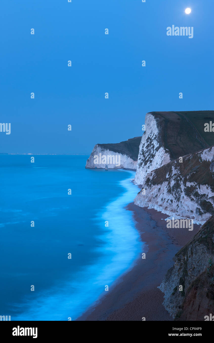 Clair de lune sur la côte jurassique, avec au-delà de Portland, Dorset, England, UK Banque D'Images