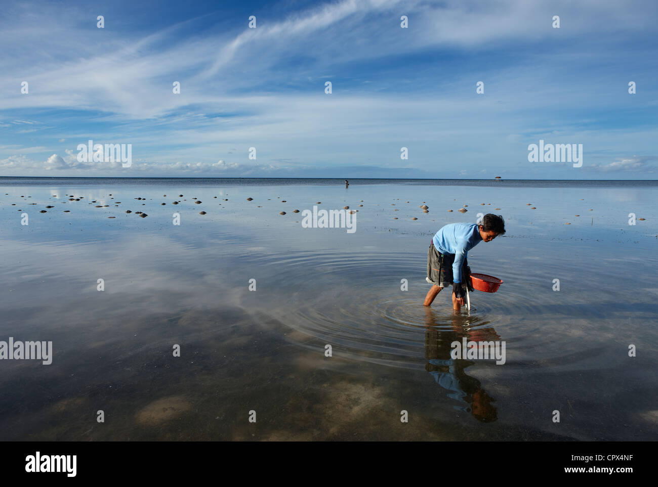 Un homme la collecte des coquillages à marée basse, dans les Visayas, Siquijor, Philippines Banque D'Images