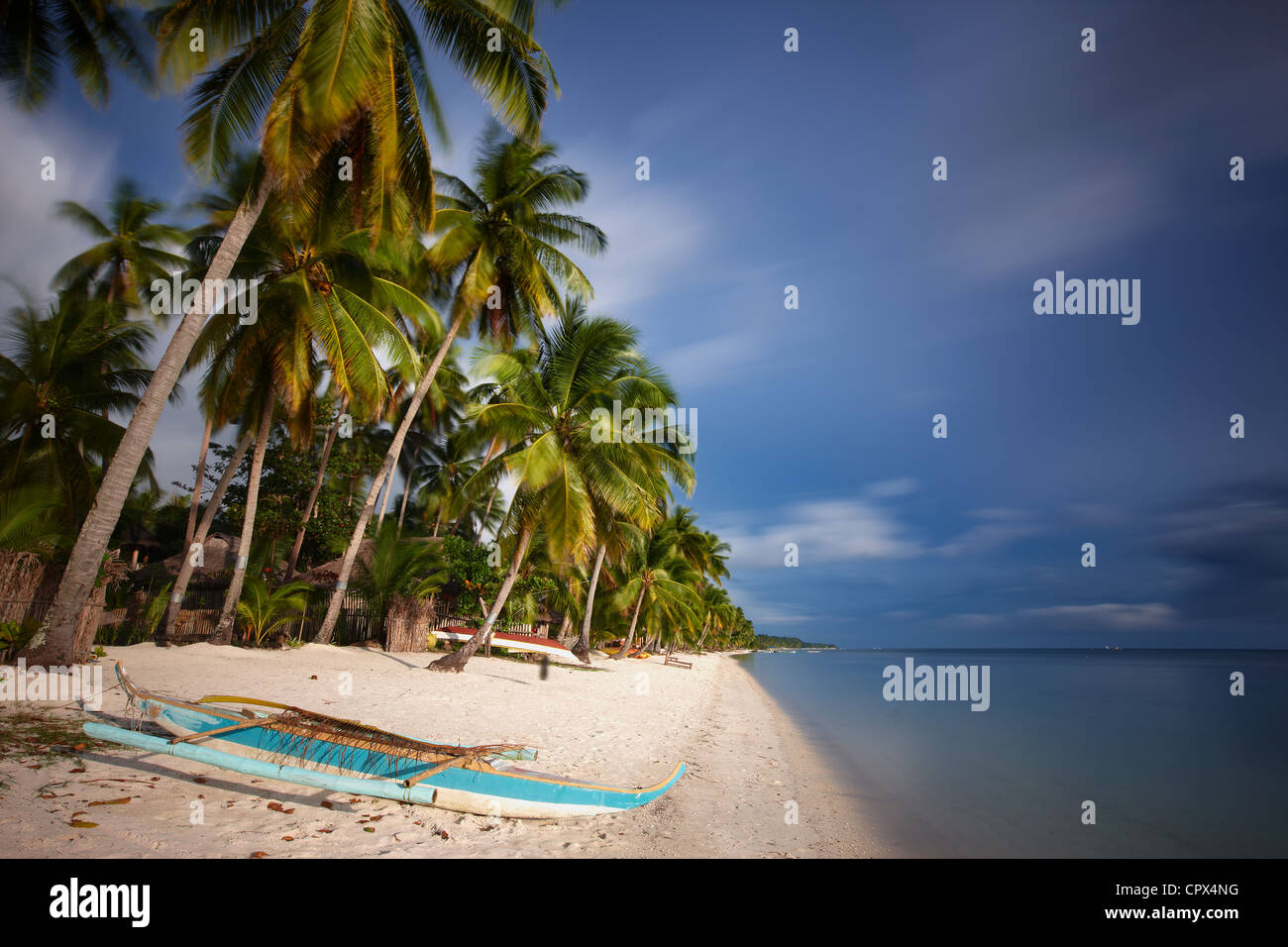 Les palmiers se balançant dans le vent, la plage de San Juan, les Visayas, Siquijor, Philippines Banque D'Images