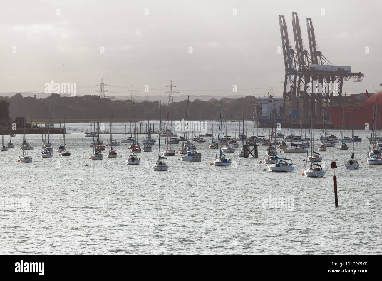 Yachts amarrés dans les eaux de Southampton England UK Banque D'Images