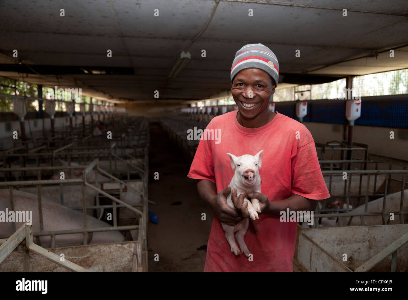 Ouvriers agricoles africains se tenant debout à l'intérieur d'un abattoir, tenant un porcelet, smiling Banque D'Images