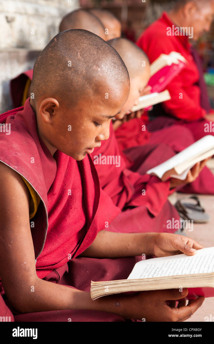 Les jeunes moines tibétains étude des écritures bouddhistes, Temple de la Mahabodhi, Bodh Gaya, Bihar, Inde Banque D'Images