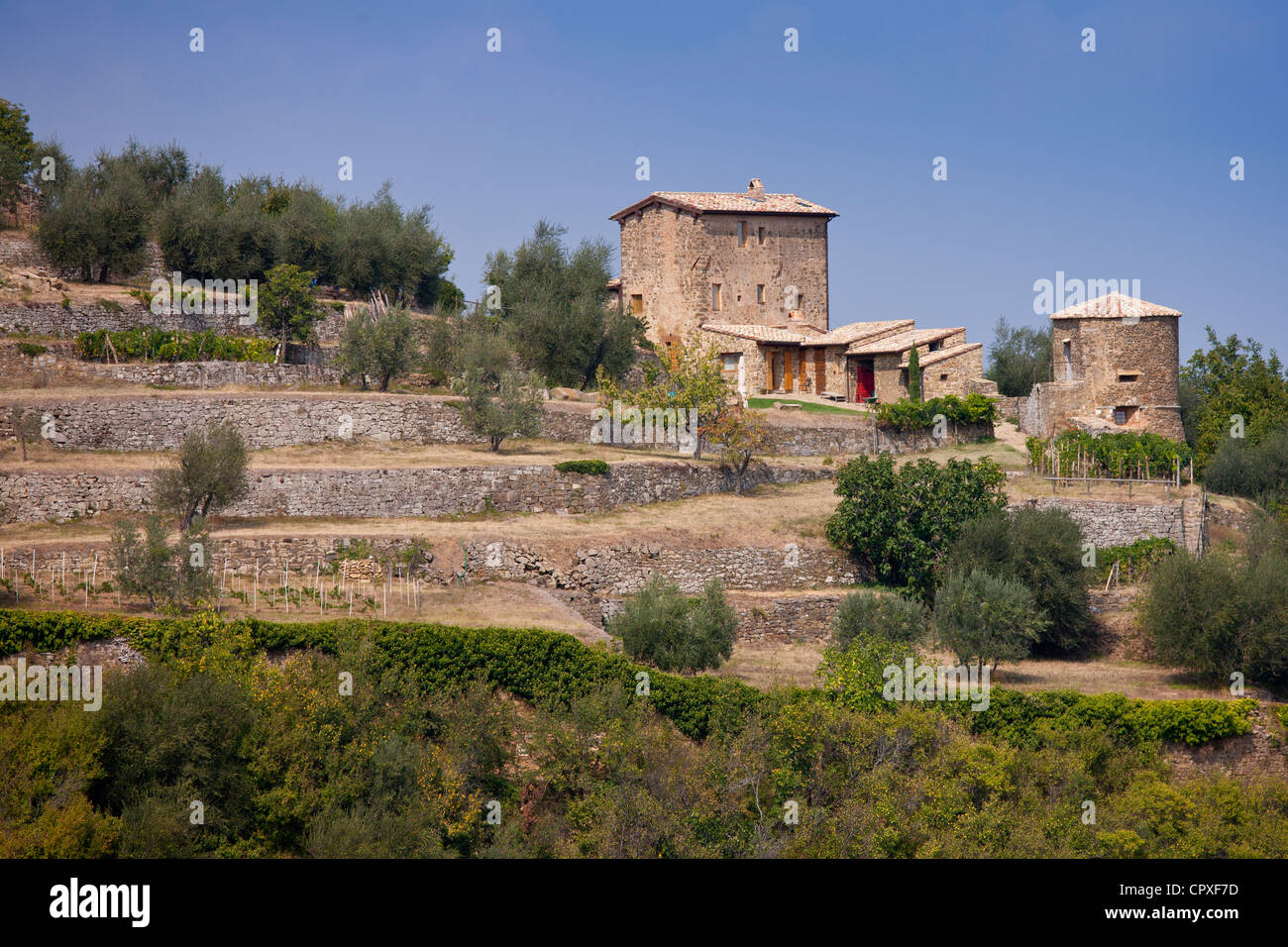 De l'architecture toscane ancienne ferme podere près de Montalcino à Val D'Orcia, Toscane, Italie Banque D'Images