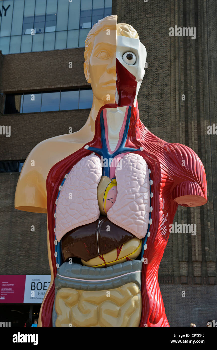 L'anatomie humaine par Damien Hirst, Tate Modern, Londres, Angleterre. Banque D'Images