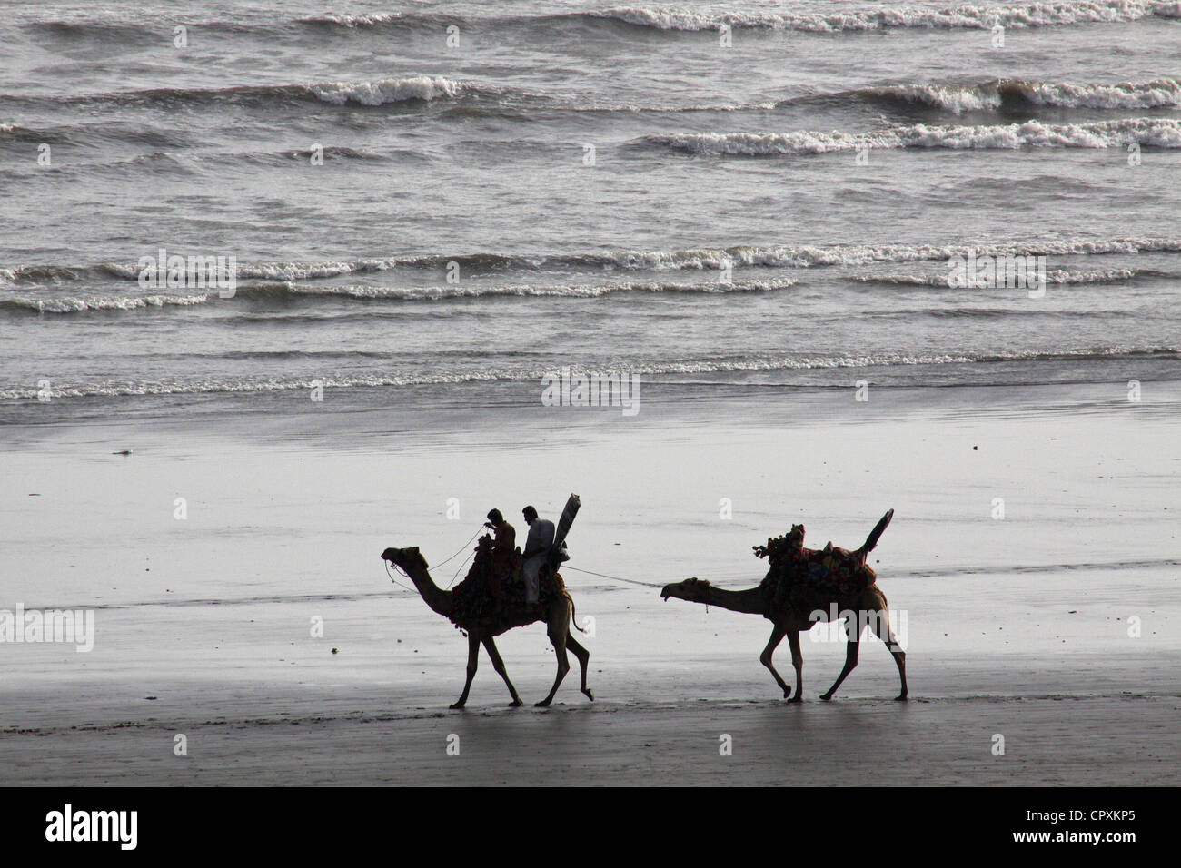 Les propriétaires de chameaux en direction de Clifton beach à Karachi le 7 mai 2012. Photo Mohsin Hassan Banque D'Images