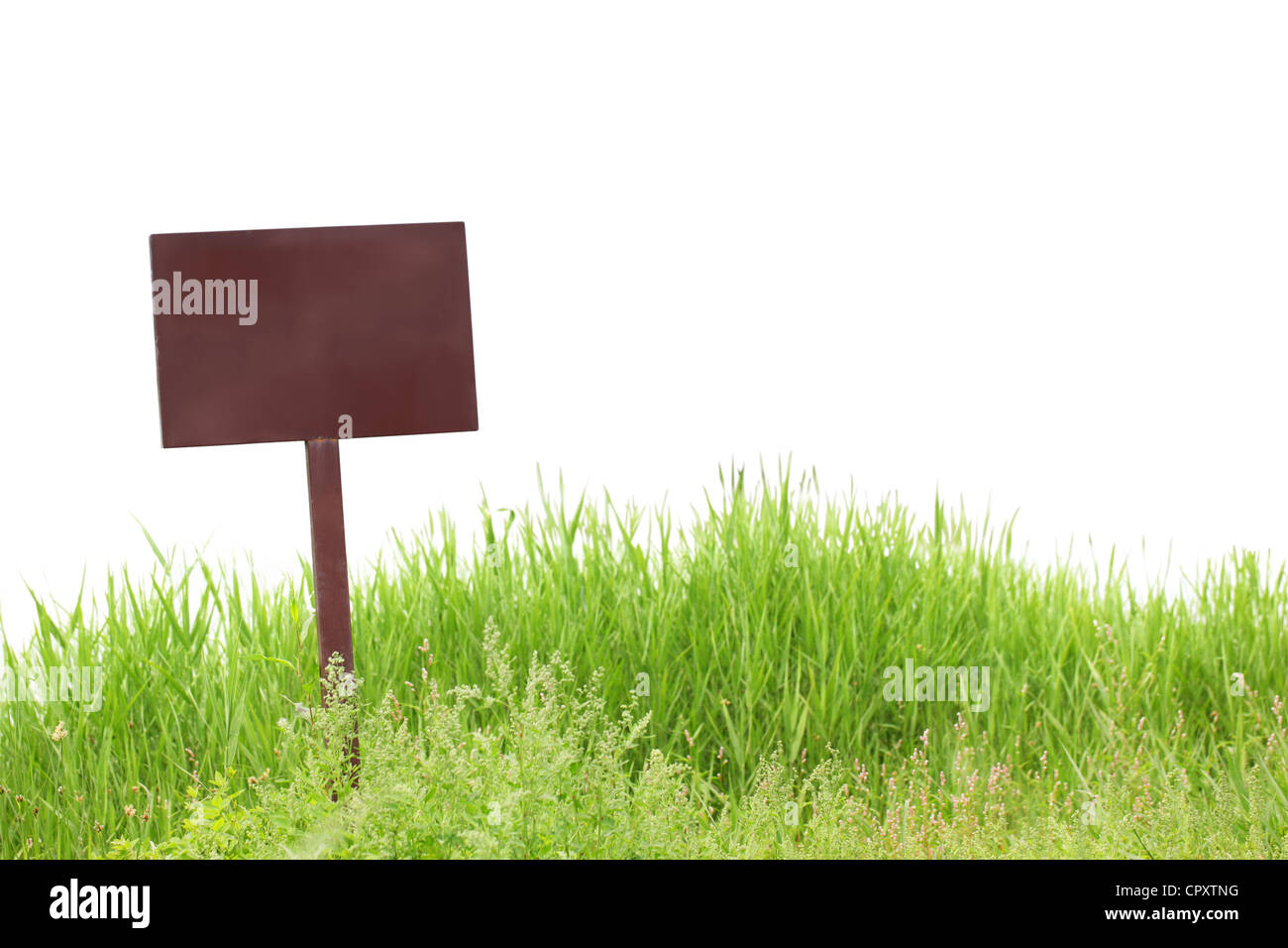 Blank billboard on Green grass isolated on white. Banque D'Images