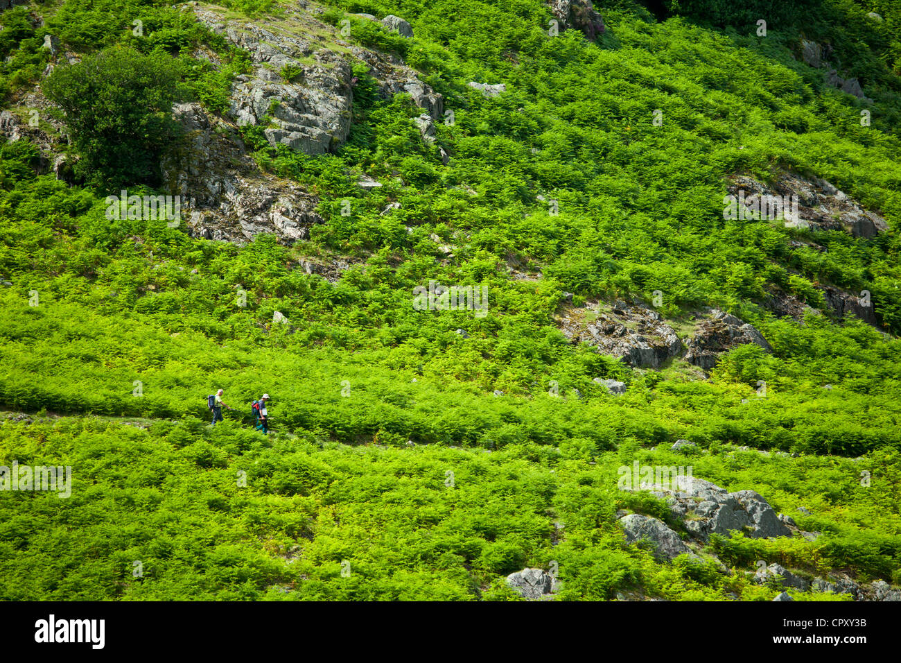 Les marcheurs par Col Langdale dans le Parc National du Lake District, Cumbria, Royaume-Uni Banque D'Images