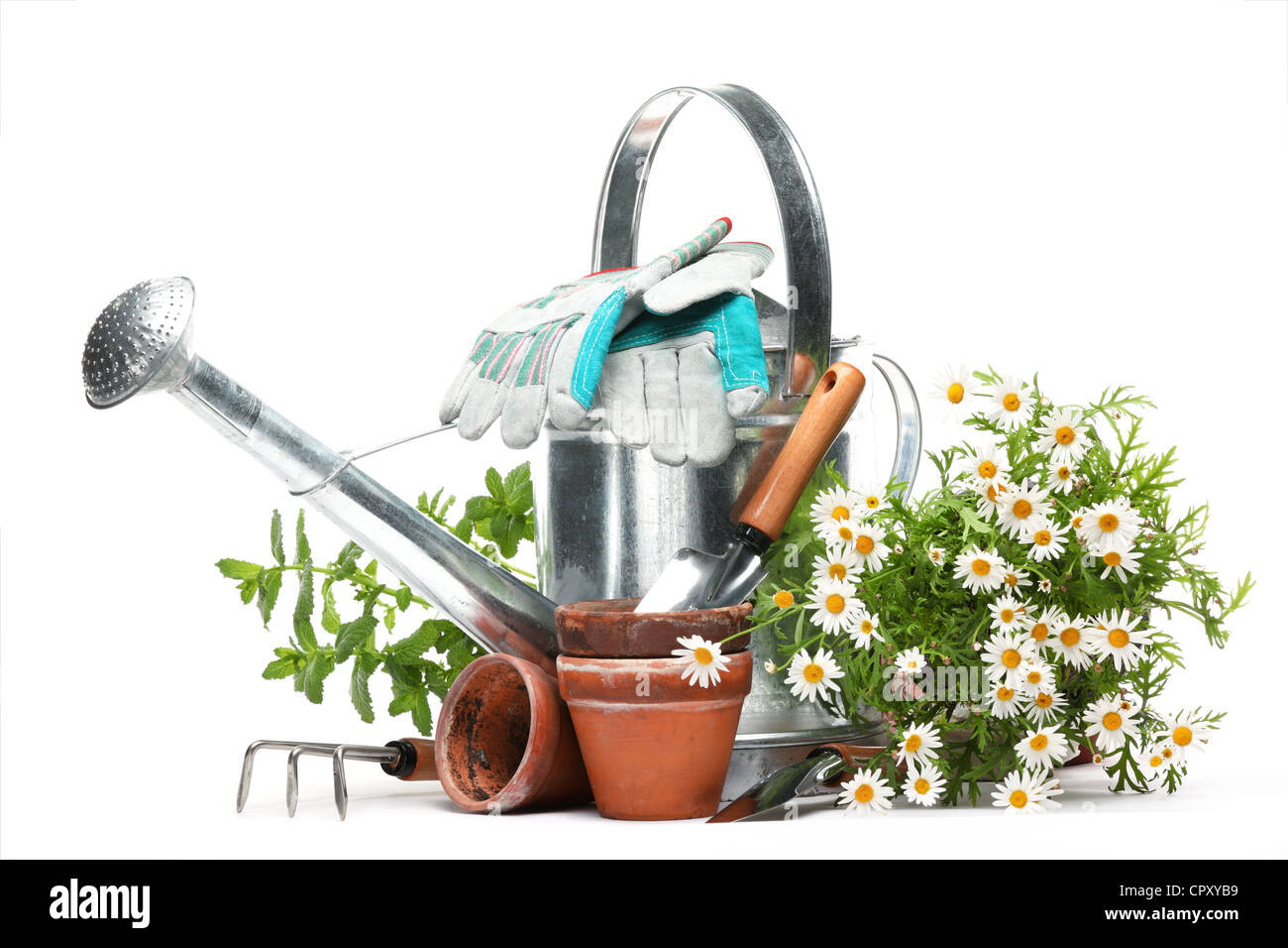 Outils de jardinage et de fleurs isolé sur blanc. Banque D'Images