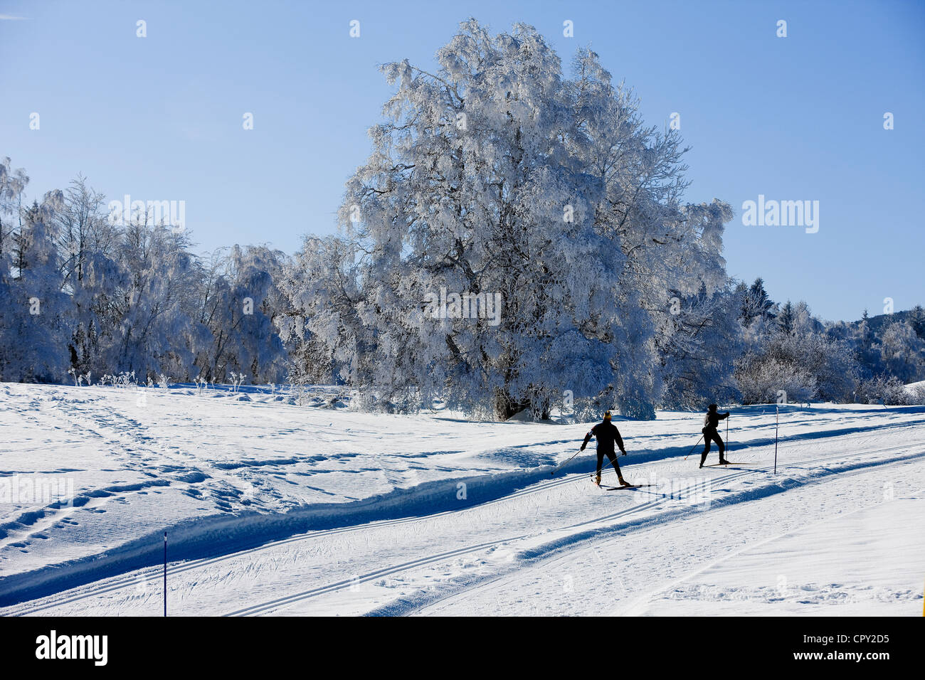 France, Savoie, La Féclaz, Massif des Bauges, de l'aera ski nordique Grand Revard Banque D'Images