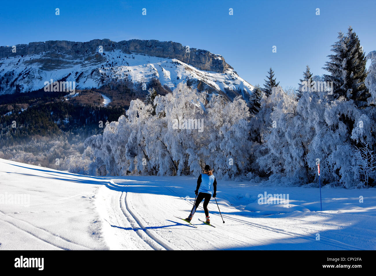 France, Savoie, La Féclaz, Massif des Bauges, de l'aera ski nordique Grand Revard, vue sur le Mont De Margeriaz 1845m Banque D'Images