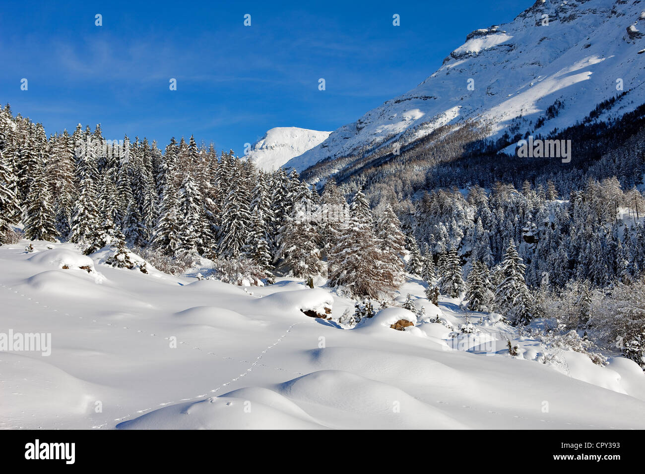 France, Savoie, Maurienne, Massif de la Vanoise, Val Cenis Lanslevillard, Station Banque D'Images