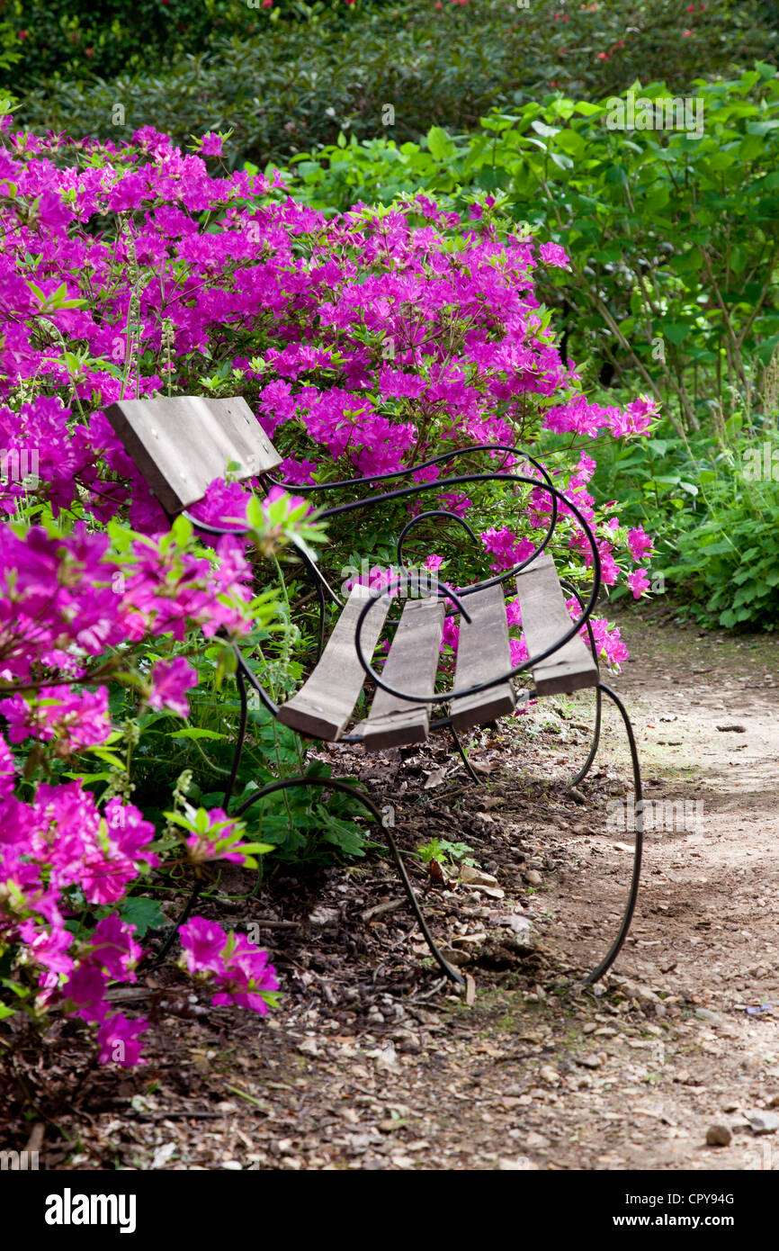 Un joli rose banc entouré de jardins subtropicaux à Abbotsbury azalea, Dorset, Angleterre Banque D'Images