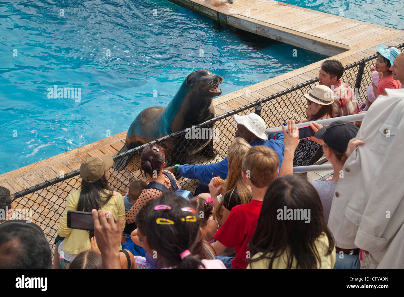 L'Aquarium de New York à Brooklyn New York Banque D'Images