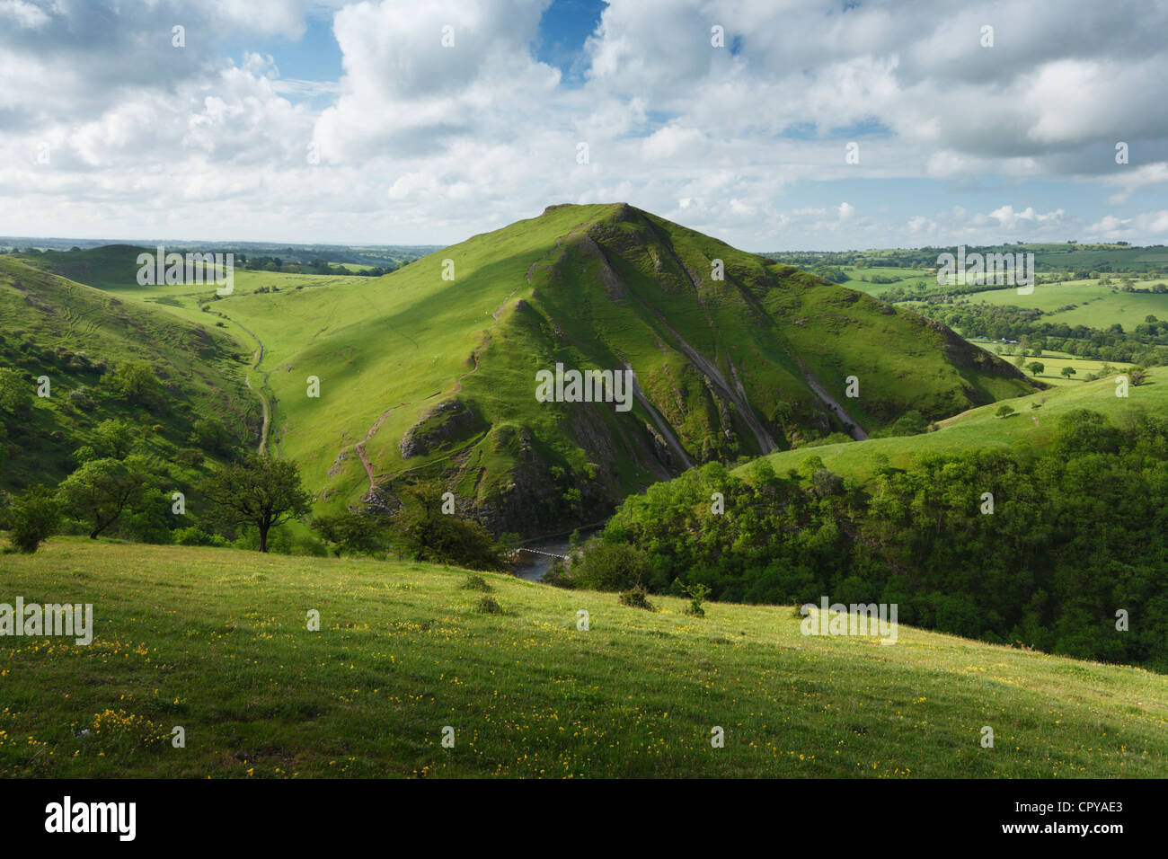 Vue vers Thorpe Cloud en Dovedale. Parc national de Peak District. Le Derbyshire. L'Angleterre. UK. Banque D'Images