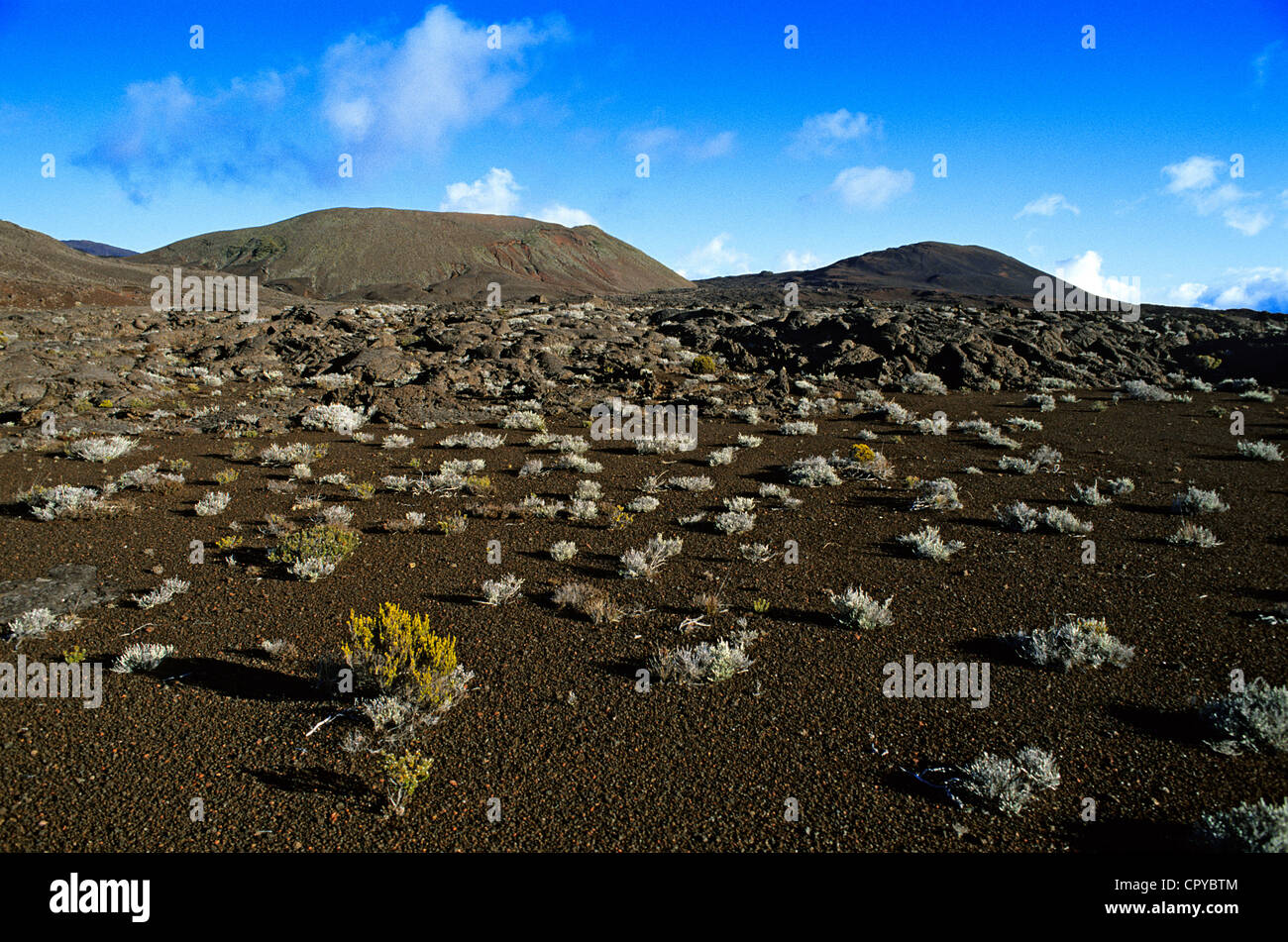 France, ile de la Réunion (département français d'outre-mer), Hautes terres, fournaise (fournaise) volcan, la Plaine des Sables Banque D'Images