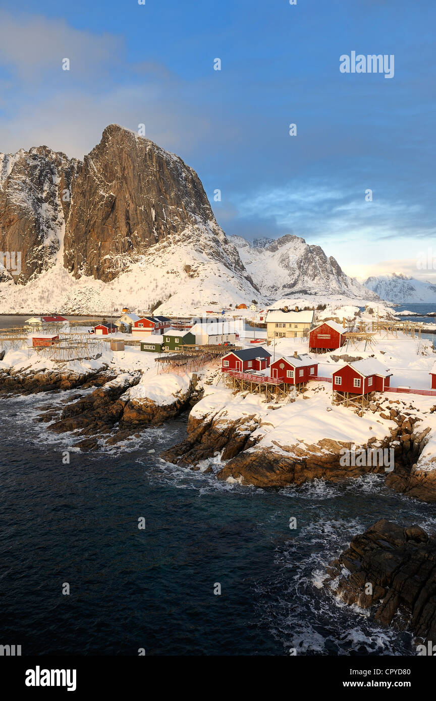 La Norvège, Nordland County, îles Lofoten, l'île de Moskenes, à proximité du port de pêche de Hamnoy Reine, la pendaison pour sécher la morue Banque D'Images