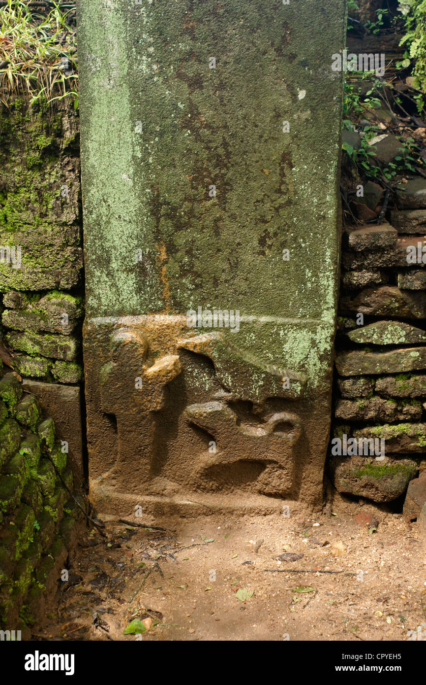 Relief sculpté dans la pierre à l'entrée de Dalada Maluva Quadrangle, Polonnaruwa, Sri Lanka Banque D'Images