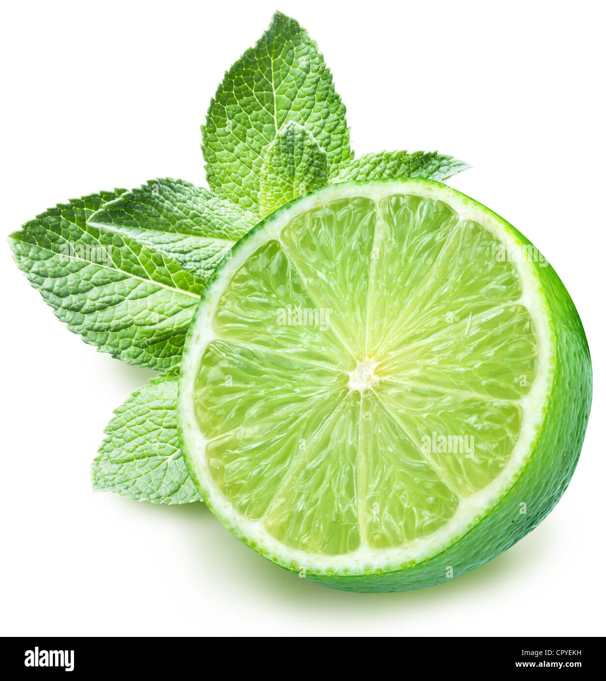 La Menthe et citron vert sur un fond blanc. Banque D'Images