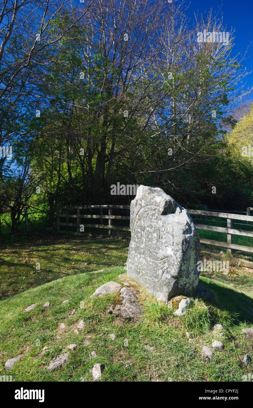 L'aigle, Pierre Strathpeffer, Ross-shire, en Écosse. Banque D'Images