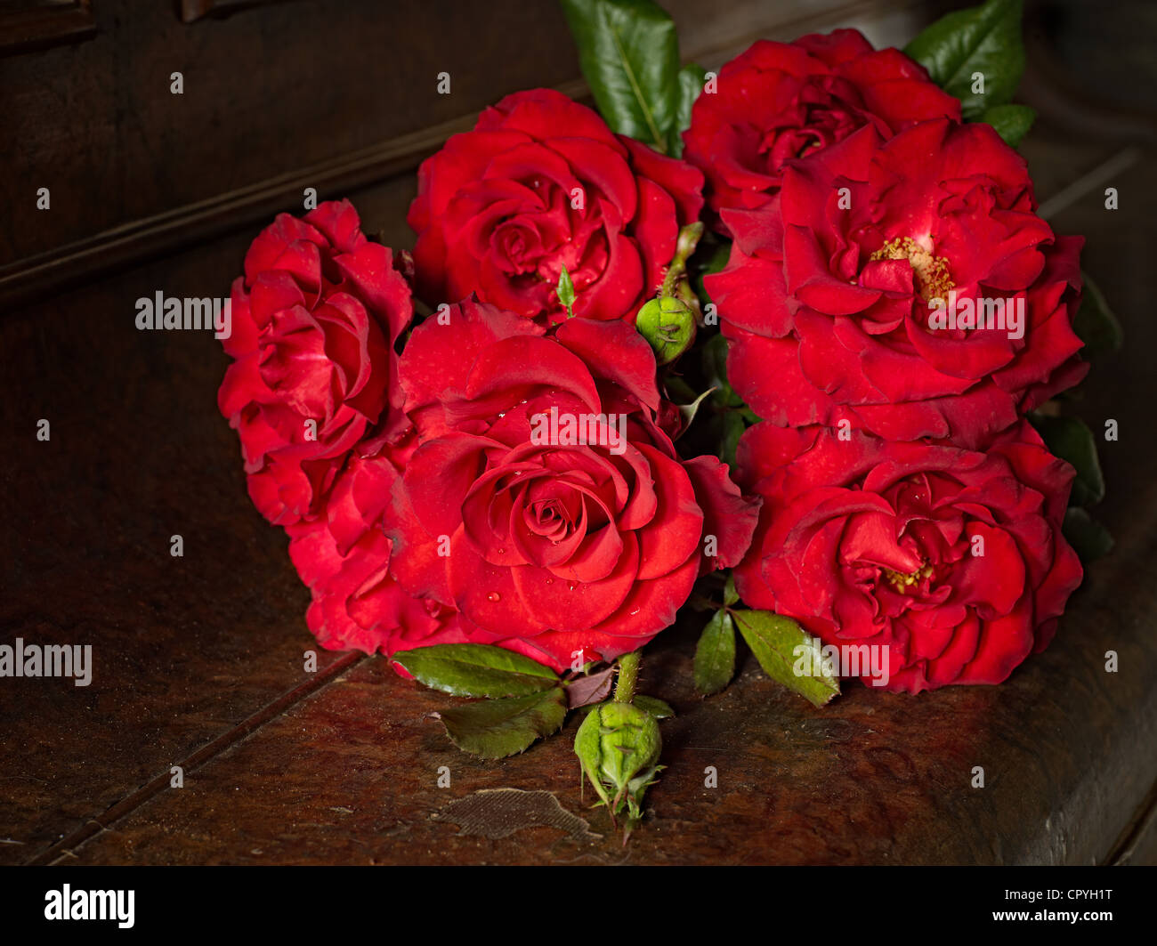 Bouquet de roses rouges fraîchement cueillies Banque D'Images