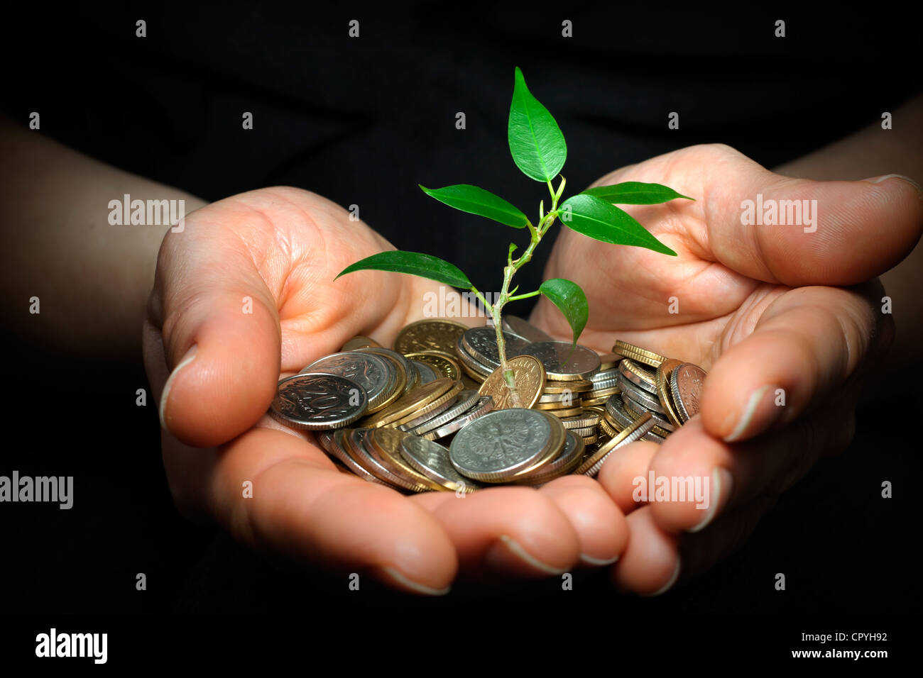 Businessman holding plant la germination d'une poignée de pièces - bon investissement et money concept Banque D'Images