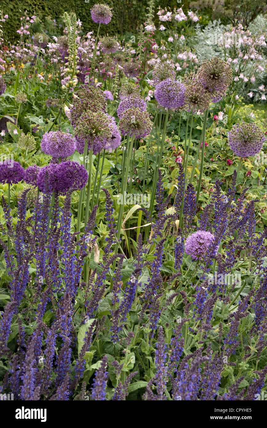 English Chalet jardin fleur boarder Banque D'Images