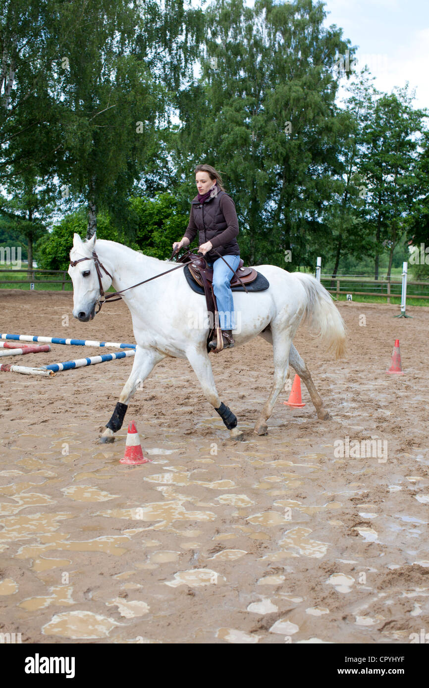 Jeune femme (35 ans) sur un cheval gris cheval sur un sol boueux percer Banque D'Images