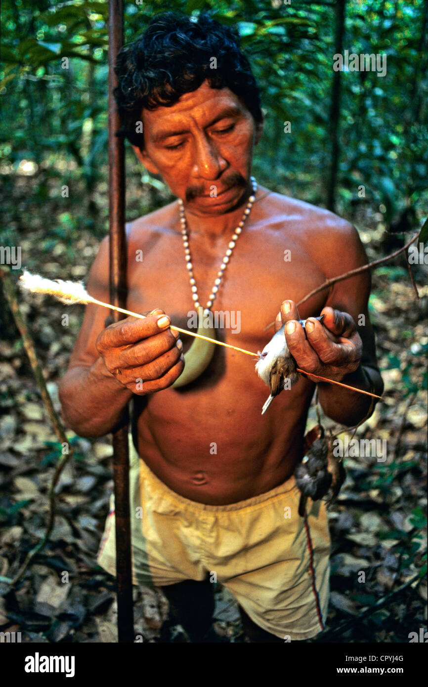 Le Venezuela, l'état d'Amazonas, Rio Sipapo, gardant leur culture indiens Piaroas chasser avec une sarbacane Banque D'Images