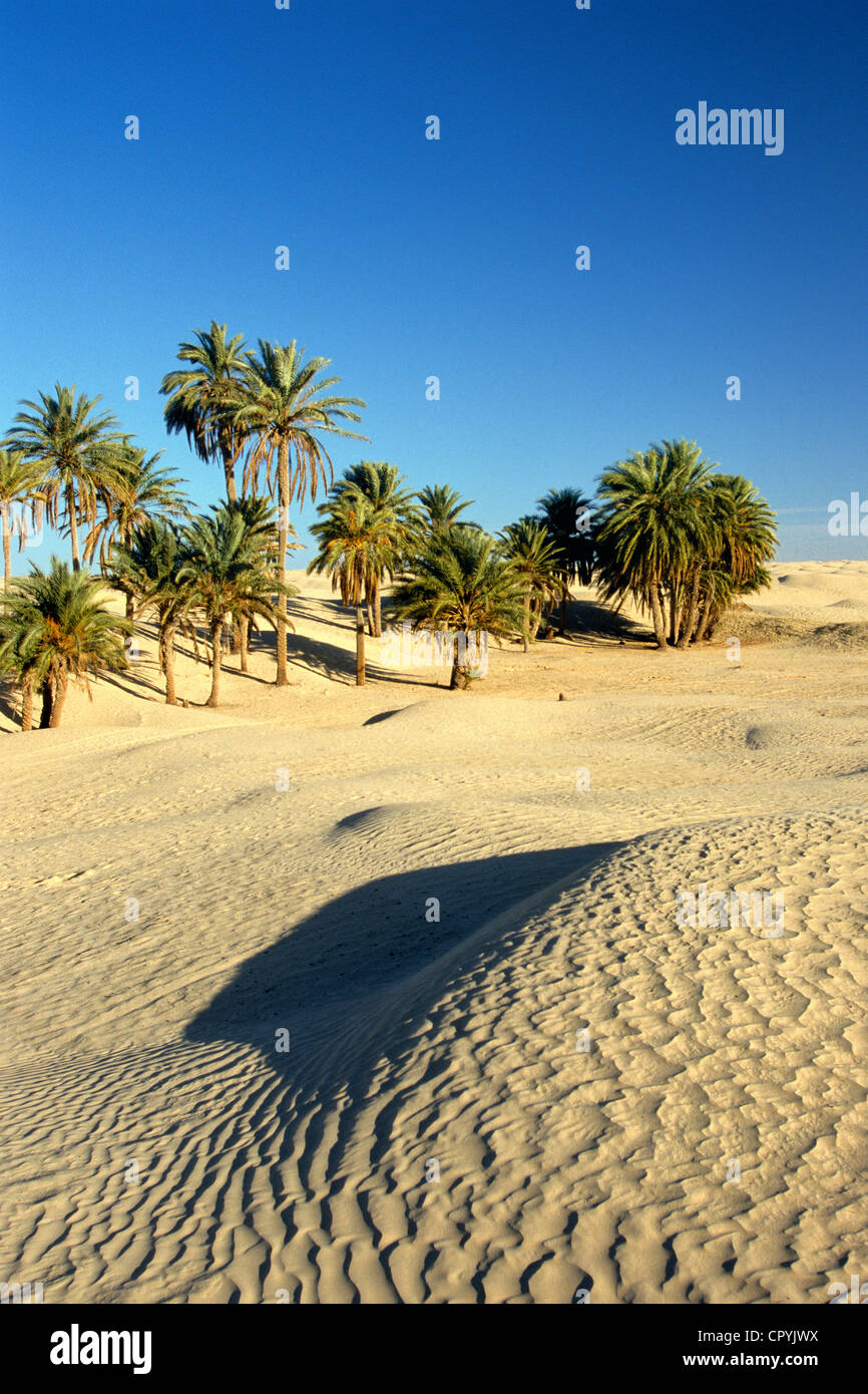 la-tunisie-le-gouvernorat-de-kebili-douz-dunes-de-sable-du-grand-erg