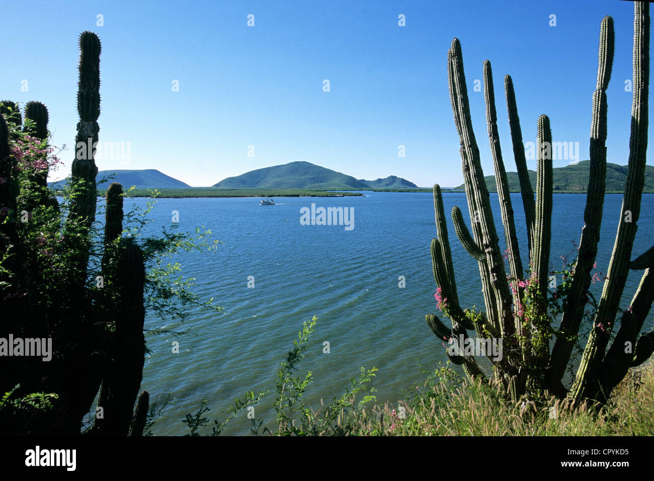 L'État de Sinaloa Mexique Los Mochis Bahia Ohuria face à Baja California Sur la mer de Cortez inscrite au Patrimoine Mondial de l'UNESCO Banque D'Images L'État de Sinaloa Mexique Los Mochis Bahia Ohuria face à Baja California Sur la mer de Cortez inscrite au Patrimoine Mondial de l'UNESCO Banque D'Images