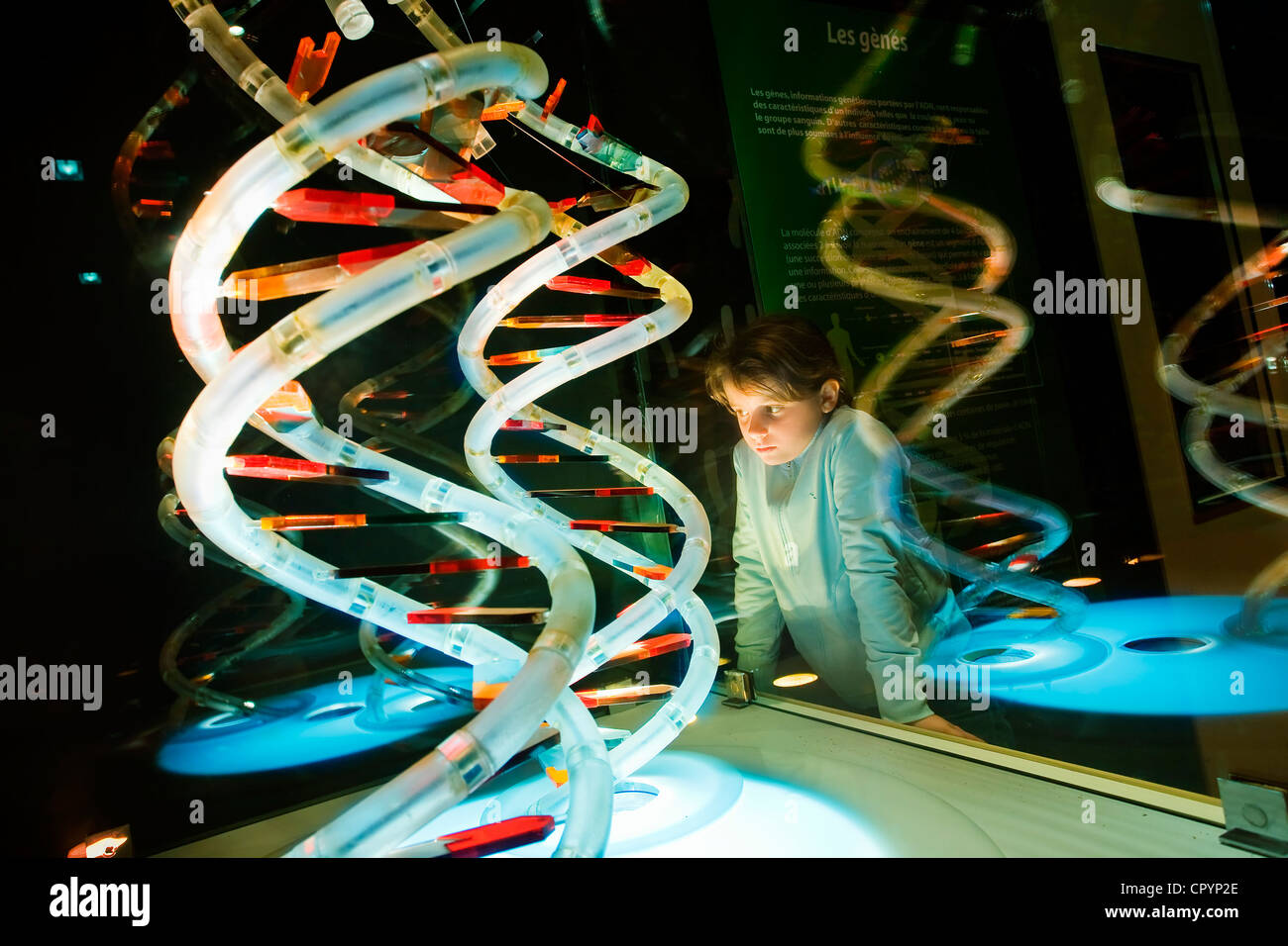 France, Paris, Palais de la Decouverte (Palais de la découverte), la salle d'exposition sur les gènes, glasswindow avec DNA helix Banque D'Images