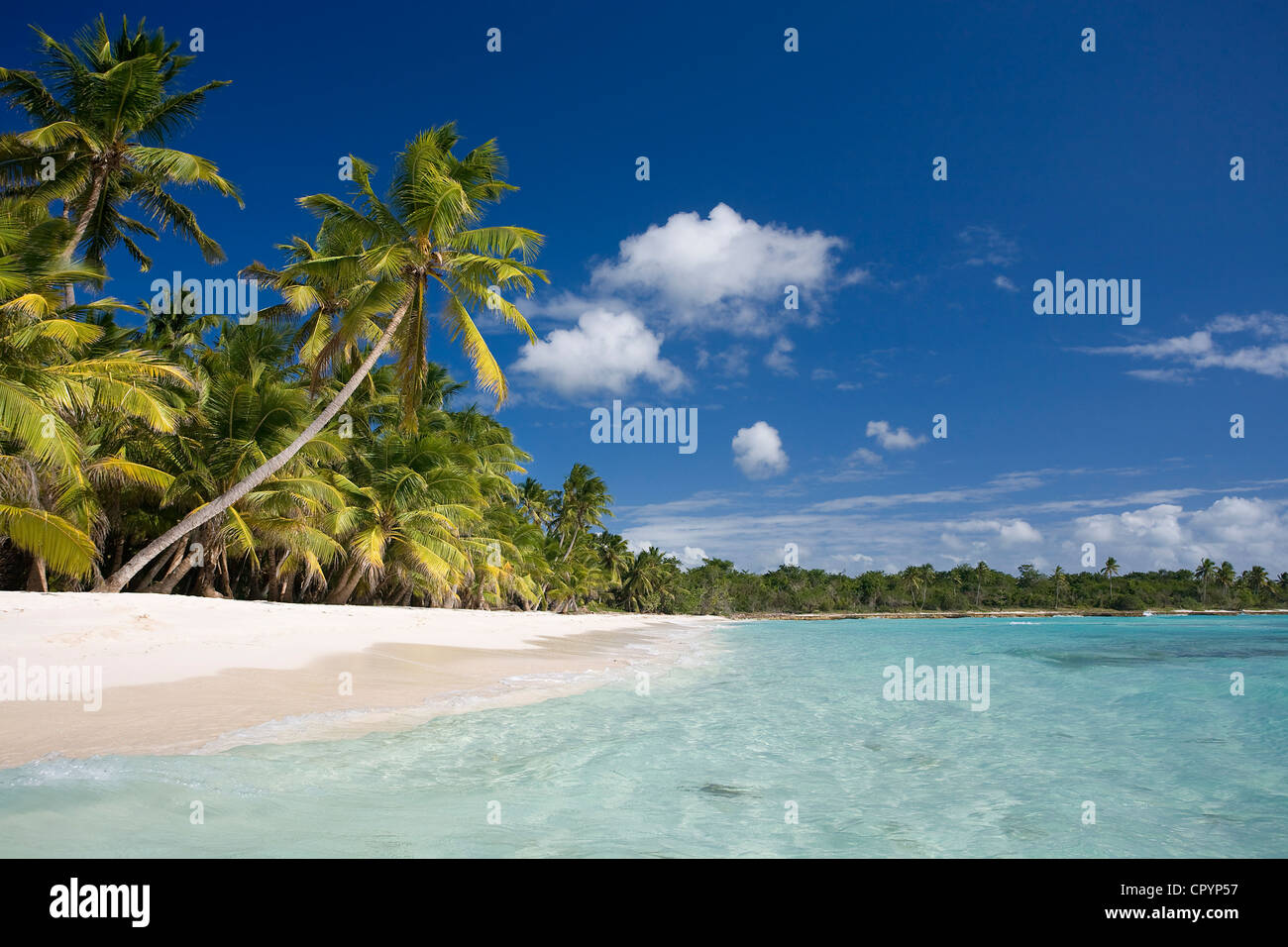 République dominicaine, La Altagracia Province, le Parc national del Este, Isla Saona Banque D'Images