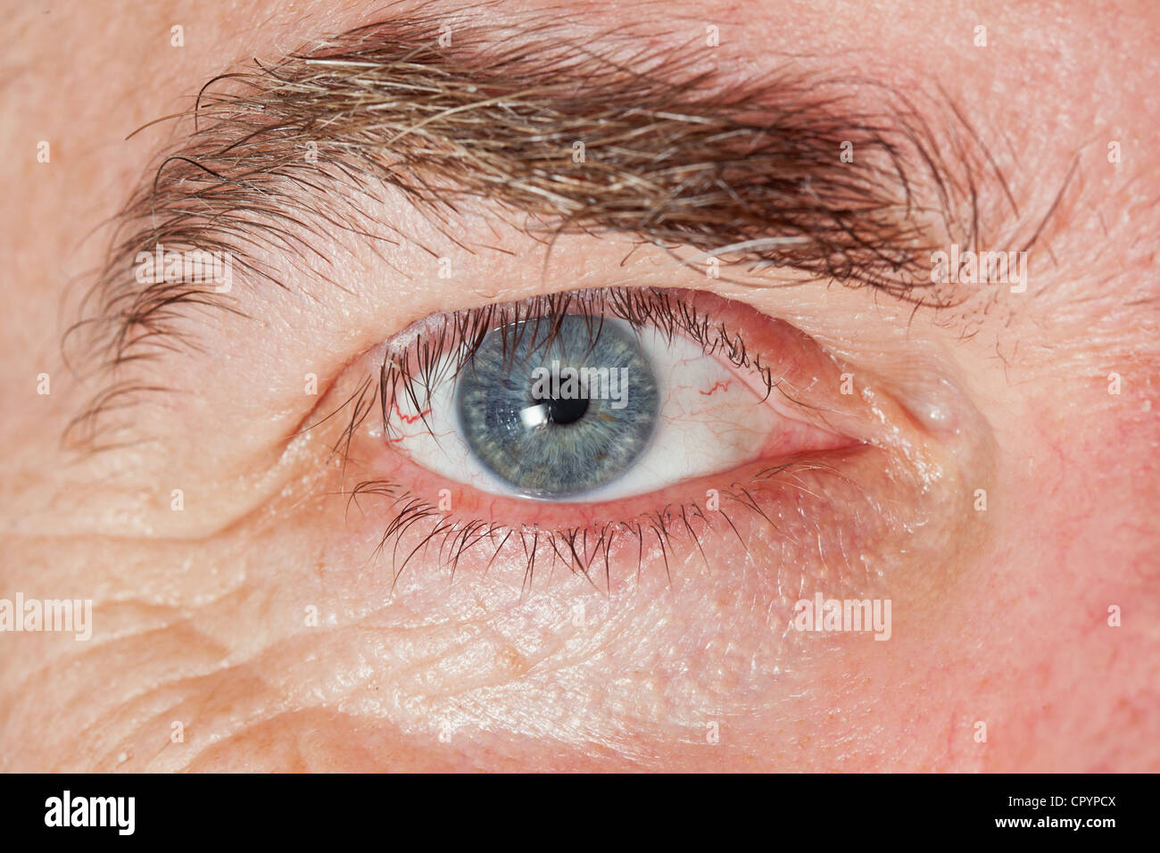 Blue Eye d'homme mûr, close-up shot horizontale Banque D'Images
