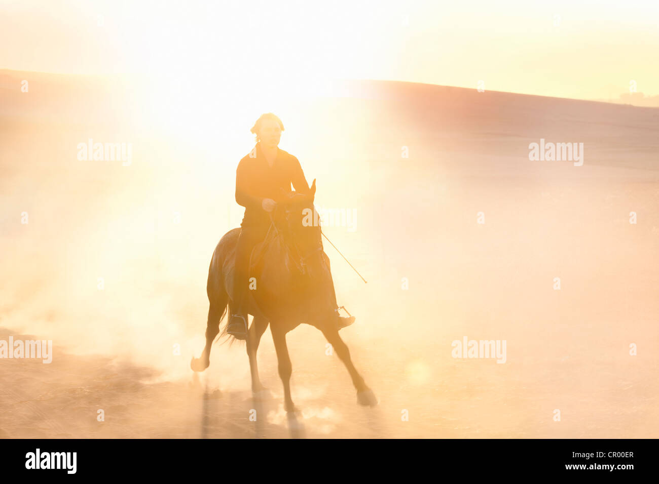 Silhouette of man riding horse in field Banque D'Images